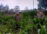 Polres Lobar Kawal Program Ketahanan Pangan Nasional di Desa