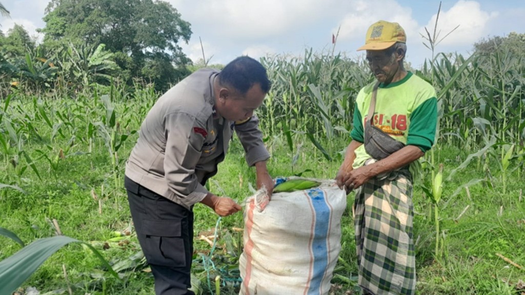 Polsek Labuapi Dukung Swasembada Pangan Nasional di Desa