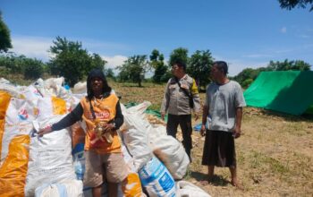 BHABINKAMTIBMAS DESA EKAS BUANA MONITORING PANEN JAGUNG WARGA DI DUSUN KUWANG ADIL