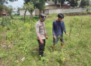 Bhabinkamtibmas Desa Paokmotong Monitoring Program Ketahanan Pangan
