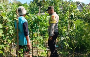Bhabinkamtibmas Desa Labuhan Haji Laksanakan Sambang Lahan Ketahanan Pangan Bergizi di Dusun Sisik