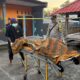 Respon Cepat Laporan Warga, Polres Sumbawa Tangani Penemuan Mayat di Karang Dima