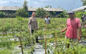Kapolres Sumbawa Pantau Program Ketahanan Pangan di Dusun Meno