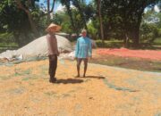 DORONG KETAHANAN PANGAN DAN AJAK PETANI SALURKAN HASIL PANEN KE BULOG