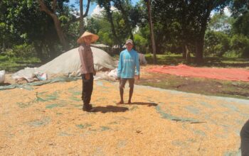 DORONG KETAHANAN PANGAN DAN AJAK PETANI SALURKAN HASIL PANEN KE BULOG