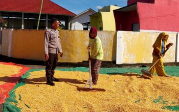 Polsek Dompu Dukung Ketahanan Pangan Melalui Kegiatan Sambang Bhabinkamtibmas di Desa Manggenae