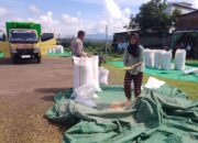 Bhabinkamtibmas Aktif Edukasi Petani, Dorong Produktivitas Jagung untuk Ketahanan Pangan