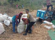 Bhabinkamtibmas Desa Rababaka Aktif Sambang dan Bantu Warga Panen Jagung, Perkuat Kamtibmas