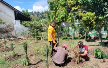 Polsek Wawo Manfaatkan Lahan Kosong untuk Penanaman Hortikultura P2L