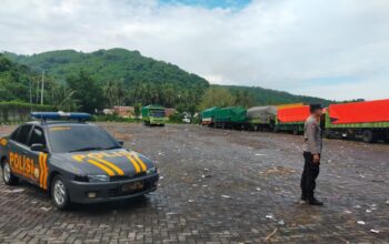 Antrean Truk Sapi di Pelabuhan Lembar Kini Nihil, Distribusi Logistik Ternak ke Pulau Jawa Makin Lancar