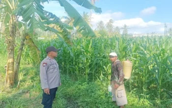 Sinergi Tanpa Batas di Lombok Barat: Saat Polisi dan Petani Berkolaborasi Demi Kedaulatan Pangan Desa