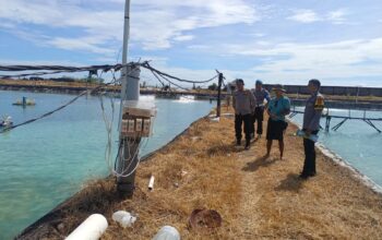 Kapolsek Sambelia Cek TKP Dugaan Pencurian di Tambak Udang Desa Dara Kunci