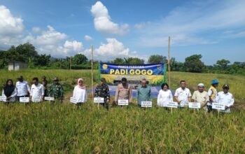 Sinergi Petani dan Aparat Dukung Ketahanan Pangan Lombok Utara