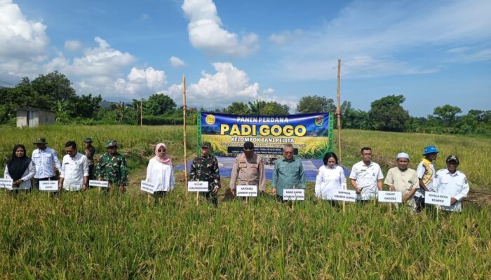 Sinergi Petani dan Aparat Dukung Ketahanan Pangan Lombok Utara