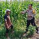 Petani Jagung Dusun Jogot Didorong Optimalkan Lahan Pekarangan