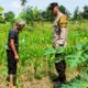 Bhabinkamtibmas Labuapi Kawal Ketahanan Pangan Nasional hingga ke Desa