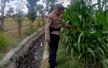 Strategi Bhabinkamtibmas di Lombok Barat Pacu Produktivitas Desa demi Ketahanan Pangan Nasional