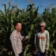 Bhabinkamtibmas Pringgabaya Cek Tanaman Jagung dan Sampaikan Himbauan Kamtibmas kepada Petani
