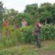 TNI-Polri Lombok Barat Dampingi Petani Karang Bongkot