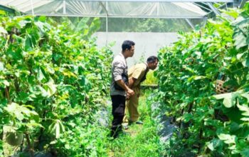 Bhabinkamtibmas Desa Bengkel Kawal Ketahanan Pangan