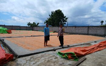 Sinergi Polri dan Petani, Ketahanan Pangan di Dompu Terus Ditingkatkan