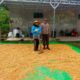 Bhabinkamtibmas Desa Jala Pantau Penjemuran Jagung Warga, Dukung Ketahanan Pangan Nasional