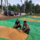 Ketahanan Pangan Jadi Prioritas, Polsek Kempo Intens Dampingi Warga Binaan