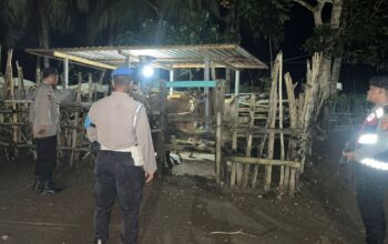 Siasat Polsek Sekotong Jaga Malam, Intip Cara Polisi Amankan Hewan Ternak Warga dari Incaran Pencuri