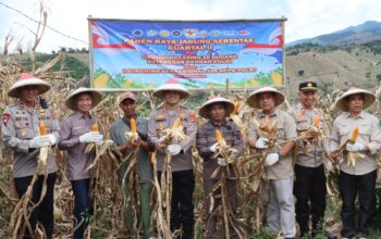Kapolres Bima Kota Laksanakan Panen Raya Serentak Kuartal II Dukung Swasembada Pangan 2026
