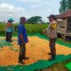 BHABINKAMTIBMAS DESA JALA LAKUKAN PEMANTAUAN PENJEMURAN JAGUNG WARGA DALAM DUKUNG KETAHANAN PANGAN NASIONAL