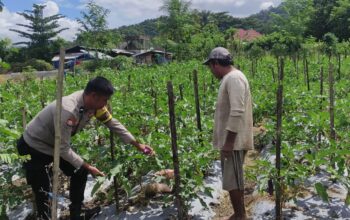 Bhabinkamtibmas Desa Manemeng Dorong Ketahanan Pangan Warga Lewat Pekarangan Bergizi