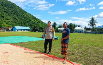 Bhabinkamtibmas Desa Adu Pantau Penjemuran Jagung Warga Dukung Ketahanan Pangan Nasional