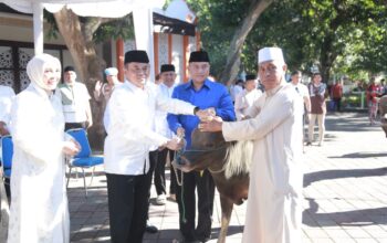 Polda NTB Sembelih Ratusan Hewan Kurban, Daging Dibagikan Kepada Masyarakat Penerima Manfaat