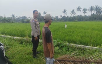 Bhabinkamtibmas Desa Bagik Nyaka Santri Monitoring Tanaman Jagung Warga untuk Dukung Ketahanan Pangan
