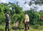 Ketahanan Pangan Nasional Dimulai dari Lahan Tidur Desa