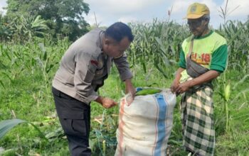 Cara Polsek Labuapi Perkuat Ketahanan Pangan dari Tingkat Desa