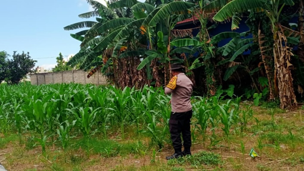 Bhabinkamtibmas Polsek Labuapi Gerakkan Program Ketahanan Pangan Desa