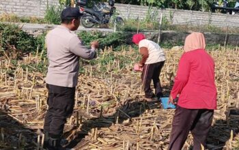 Perkuat Ketahanan Pangan, Polsek Labuapi Ajak Warga Sulap Lahan Kosong