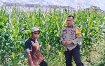 Cara Bhabinkamtibmas Bagik Polak Barat Sukseskan Swasembada Pangan