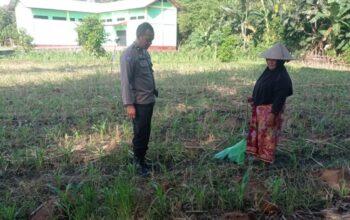Lewat Pendampingan Intensif, Polres Lombok Barat Sukseskan Swasembada Pangan