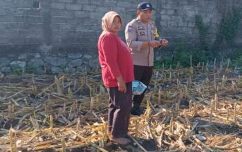 Polsek Labuapi Kawal Ketahanan Pangan Desa Bagik Polak