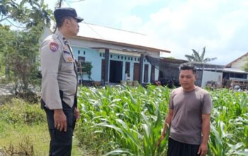 Polisi Dorong Warga Labuapi Manfaatkan Pekarangan