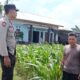 Polisi Dorong Warga Labuapi Manfaatkan Pekarangan