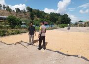 Bhabinkamtibmas Polres Bima Kota Aktif Dampingi Petani Jagung, Dukung Ketahanan Pangan Nasional
