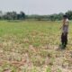 Dukung Astacita, Polsek Jatirogo Polres Tuban Pantau Langsung Lahan Jagung Warga Desa Paseyan