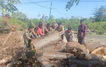 Sinergi TNI-Polri dan Instansi Terkait Evakuasi Pohon Tumbang di Jalur Lintas Sumbawa-Bima
