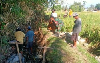 Babinsa Monitoring Irigasi Tersier, Perkuat Harapan Petani di Peteluan Indah