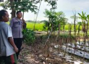 Cara Polsek Labuapi Perkuat Ketahanan Pangan Masyarakat