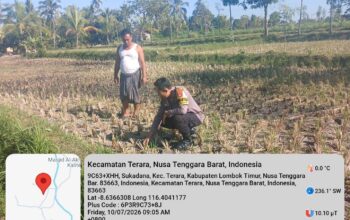 Bhabinkamtibmas Desa Kalianyar Jalin Silaturahmi dengan Ketua Kelompok Tani Suka Karya II dan Cek Perkembangan Tanaman Jagung Warga