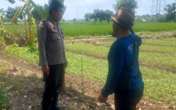 Kawal Ketahanan Pangan, Polsek Labuapi Edukasi Petani Telagawaru